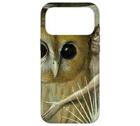 Carcasa para iPhone 17 Pro MAX El jardín de Las delicias terrenales