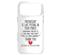 Carcasa para iPhone 17 Pro MAX Friendship is Like Peeing In Your Pants Best Friend Coworker