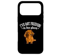 Carcasa para iPhone 17 Pro MAX Funny Friends In Low Places Long Haired Dachshund Lover