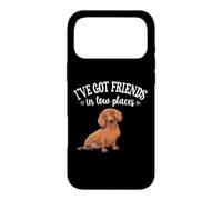 Carcasa para iPhone 17 Pro MAX Funny Mens Womens Girl Friends In Low Places Dachshund Lover