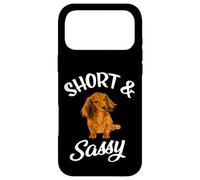 Carcasa para iPhone 17 Pro MAX Funny Short & Sassy Long Haired Dachshund Lover