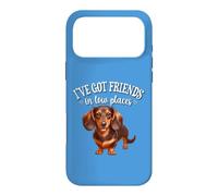 Carcasa para iPhone 17 Pro MAX Funny Womens Friends In Low Places Brown Dachshund Lover