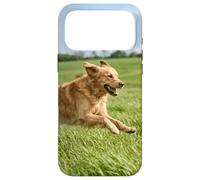 Carcasa para iPhone 17 Pro MAX Golden Retriever Perro Corriendo Campo Abierto Soleado Escena Al