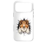 Carcasa para iPhone 17 Pro MAX Graffiti Wall Art Collie Collies