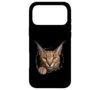 Carcasa para iPhone 17 Pro MAX Gráfico de Animal Caracal Wild Cat Breaking Through Torn Hole