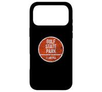 Carcasa para iPhone 17 Pro MAX Gulf State Park Alabama AL Nature Vacation Souvenir Design