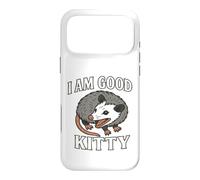 Carcasa para iPhone 17 Pro MAX I Am Good Kitty