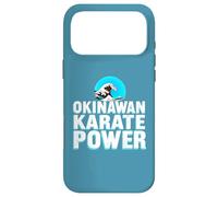 Carcasa para iPhone 17 Pro MAX Karate de Okinawa