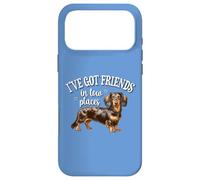 Carcasa para iPhone 17 Pro MAX Mens Womens Kid Friends In Low Places Dapple Dachshund Lover