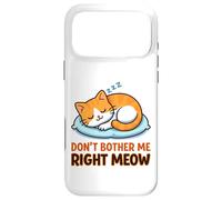 Carcasa para iPhone 17 Pro MAX No me molestes Miau Gato Durmiendo Meme