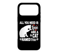 Carcasa para iPhone 17 Pro MAX Nombre Personalizado de Gato Trixie Cute Kitten Pet Lover