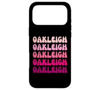 Carcasa para iPhone 17 Pro MAX Oakleigh Retro Stack Design