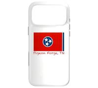 Carcasa para iPhone 17 Pro MAX Pigeon Forge, Recuerdo de la Bandera de Estados Unidos de Tennessee