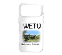 Carcasa para iPhone 17 Pro MAX Puente WETU Wetumpka Alabama Bibb Graves Rainbow Arch