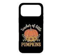 Carcasa para iPhone 17 Pro MAX Teacher of Little Pumpkins Boho Fall Floral