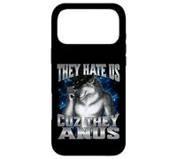 Carcasa para iPhone 17 Pro MAX They Hate Us Cuz They Anus