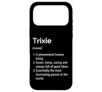 Carcasa para iPhone 17 Pro MAX Trixie Definición de Nombre Diccionario Divertido