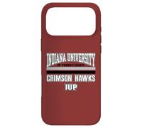 Carcasa para iPhone 17 Pro MAX Universidad de Indiana Pennsylvania Hawks NCAA | VNPIUP301B
