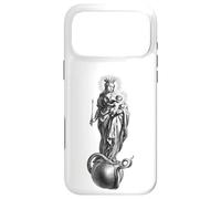 Carcasa para iPhone 17 Pro MAX Virgen María Reina del Cielo y la Tierra Theotokos