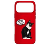 Carcasa para iPhone 17 Pro MAX What is Wrong with You? Cat Funny Humor