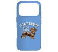 Carcasa para iPhone 17 Pro Mens Womens Kid Friends In Low Places Dapple Dachshund Lover