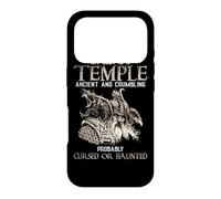 Carcasa para iPhone 17 Pro My Body Is A Temple Ancient Crumbling Probably Cursed