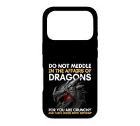 Carcasa para iPhone 17 Pro No te metas en los Asuntos de los Dragones Porque Eres crujiente