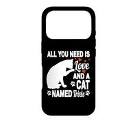 Carcasa para iPhone 17 Pro Nombre Personalizado de Gato Trixie Cute Kitten Pet Lover