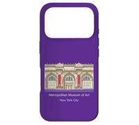 Carcasa para iPhone 17 Pro Nueva York, Museo Metropolitano de Arte de EE. UU
