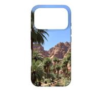 Carcasa para iPhone 17 Pro Obra de Arte del Paisaje del palmeral del Oasis del cañón del Desierto