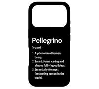 Carcasa para iPhone 17 Pro Pellegrino Definición de Nombre Diccionario Divertido