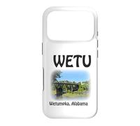 Carcasa para iPhone 17 Pro Puente WETU Wetumpka Alabama Bibb Graves Rainbow Arch