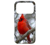 Carcasa para iPhone 17 Pro Regalo Inspirador Heaven Sends Birds A Sign Cardinal