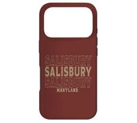 Carcasa para iPhone 17 Pro Salisbury Maryland Vintage