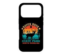Carcasa para iPhone 17 Pro Souvenir Retro al Atardecer en el Parque Estatal Raven Rock de Carolina del Norte