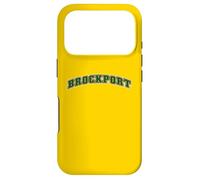 Carcasa para iPhone 17 Pro SUNY Brockport Golden Eagles Classic Collegiate Text
