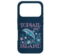 Carcasa para iPhone 17 Pro Topsail Island NC - Recuerdo Colorido para Amantes de los Delfines