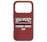 Carcasa para iPhone 17 Pro Universidad de Indiana Pennsylvania Hawks NCAA | VNPIUP301B