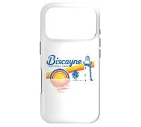 Carcasa para iPhone 17 Pro Vintage Biscayne National Park Retro 80's