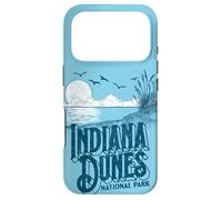 Carcasa para iPhone 17 Pro Vintage Indiana Dunes National Park Retro 80's Minimalist