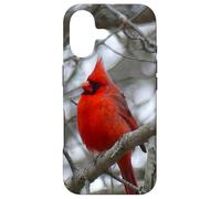 Carcasa para iPhone 17 Regalo Inspirador Heaven Sends Birds A Sign Cardinal