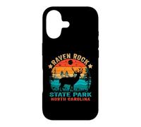 Carcasa para iPhone 17 Souvenir Retro al Atardecer en el Parque Estatal Raven Rock de Carolina del Norte