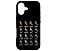 Carcasa para iPhone 17 Tipos de Colibríes Coloridos Gráfico de Especies de Colibr