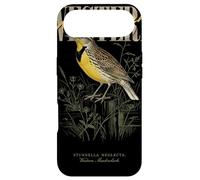 Carcasa para iPhone Air Arte Vintage de observación de Aves de Western Meadowlark Love Birds