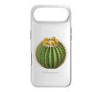 Carcasa para iPhone Air Barril Cactus ilustración Echinocactus grusonii