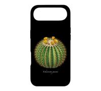 Carcasa para iPhone Air Barril Cactus ilustración Echinocactus grusonii