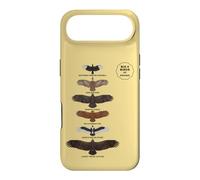 Carcasa para iPhone Air Big 6 Birds Parque Nacional Kruger Vida Silvestre Africana