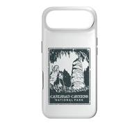 Carcasa para iPhone Air Carlsbad Caverns National Park New Mexico