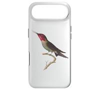 Carcasa para iPhone Air Colibrí Hermoso Colibrí Anna