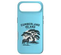 Carcasa para iPhone Air Cumberland Island Georgia Puesta de Sol